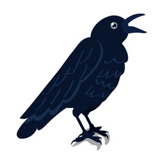 Isolated black crow bird Vector