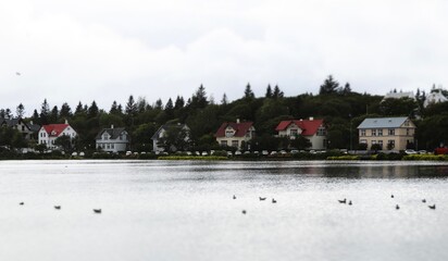 Lac Tjörnin - Reykjavik 