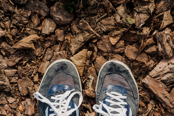 A poor man in old torn suede sneakers with holes stands on dry leaves in the forest in autumn. Photography, nature walk.