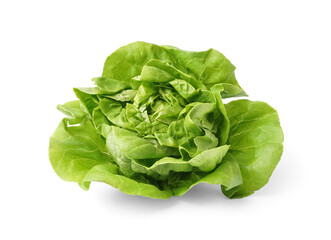 Fototapeta premium Fresh Boston lettuce on white background