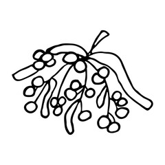 Hand drawn mistletoe. Vector Christmas plant background. Romantic Christmas illustration.