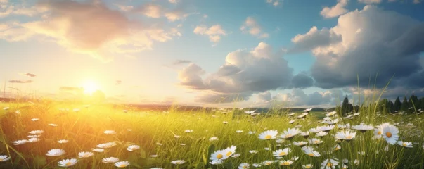 Zelfklevend Fotobehang Grass and Flowers Bloom in a Meadow, Harmonizing with the Serene Cloudscape Above, Creating a Picture-Perfect Landscape of Tranquil Beauty © Ben