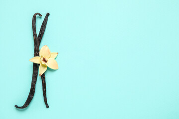 Aromatic vanilla sticks and flower on blue background