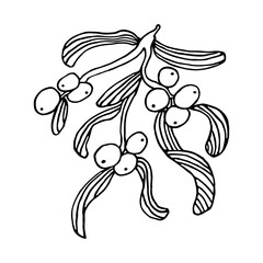 Hand drawn mistletoe. Vector Christmas plant background. Romantic Christmas illustration.