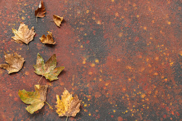 Autumn leaves on brown grunge background