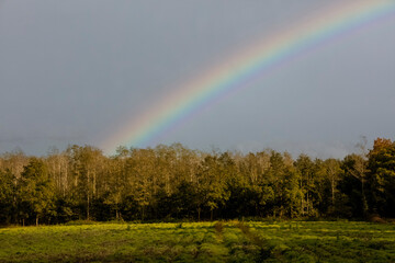 A dutch polder landscape in autumn after the rain