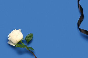 White rose with black ribbon on blue background