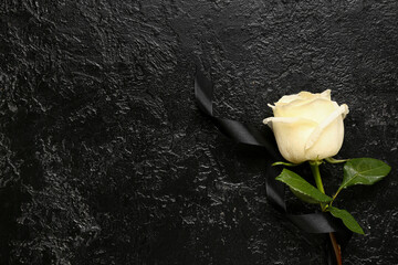 White rose with ribbon on black grunge background