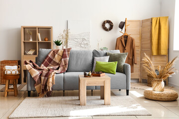 Interior of modern living room with grey sofa, warm blanket and pine cones on coffee table