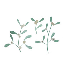 mistletoe branches drawn in watercolor, Christmas tree branches, New Year's picture