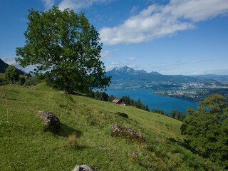 Swiss landscape