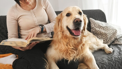 Pretty girl with golden retriever dog reading book sitting on sofa at home. Young woman and...