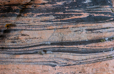 Grey and pink gneiss metamorphic rock.