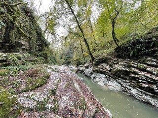 Canyon of the Psakho River. Sochi, Krasnodar region, Russia 