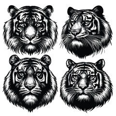 big tigers. Collection of portraits of predatory wild cats. Set of wildlife and fauna dwellers. Vector illustration on a white background. Tattoo