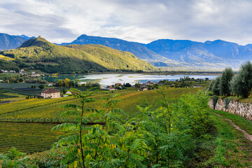 Vineyards, Lake and Mountains II