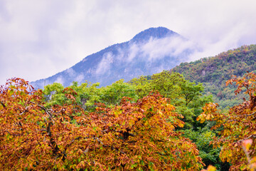 Mystic Mountains in Color I