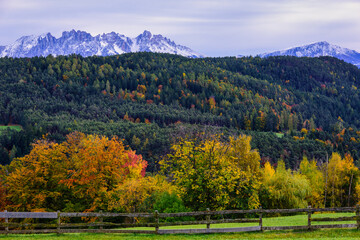 Autumn mood in the mountains II