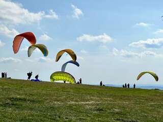 paragliders flying in the sky