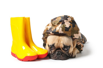 Cute French bulldog in raincoat with gumboots on white background