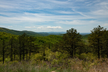 Fototapeta na wymiar View from Skyline drive in the Shenandoah National Park, Virginia