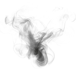 Fototapeta premium cloud of smoke