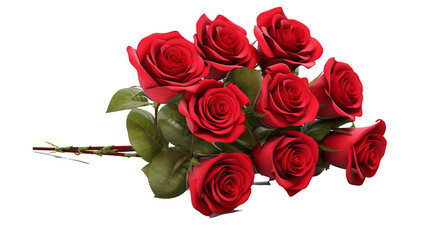 bunch of gorgeous red roses isolated on transparent background