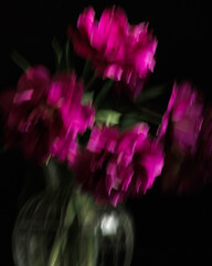 Soft selective focus, photo in motion, bouquet of dark red lilac tulips in glass vase on dark background. flower bouquet in vase on table. Gift interior decoration. florist, decorator. Flower shop.