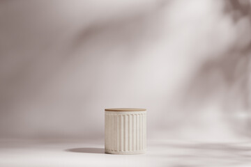 Empty white pedestal or podium on a white background for product presentation. Leaf shadows. Advertise blank showcase. Abstract concept. Template mock up backdrop. 3d render illustration