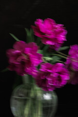 Obraz premium Soft selective focus, photo in motion, bouquet of dark red lilac tulips in glass vase on dark background. flower bouquet in vase on table. Gift interior decoration. florist, decorator. Flower shop.