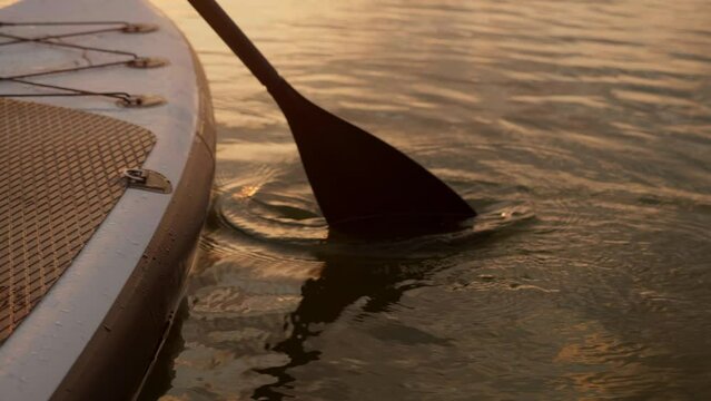 paddle boarding at lake during shining wather surface and propelling on sunset Slow Motion. close up paddle with drops. Concept of active sport wather fitness.