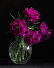 bouquet of dark red lilac tulips in glass vase on dark background. flower bouquet in vase on table. Gift interior decoration. florist, decorator. Flower shop.