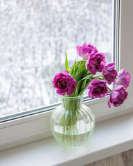 bouquet of dark red lilac tulips in glass vase on windowsill overlooking snowy street. flower bouquet in vase on table. Gift interior decoration. florist, decorator. Flower shop.