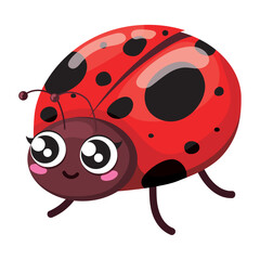 Isolated cute ladybug insect character Vector