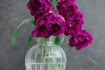 bouquet of gray red lilac tulips in glass vase on dark background. flower bouquet in vase on table. Gift interior decoration. florist, decorator. Flower shop.