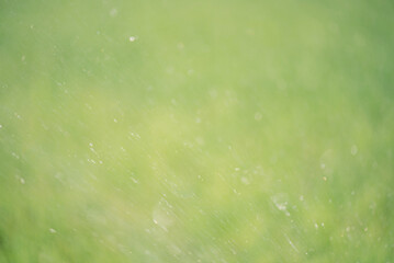 Abstract blurred green natural background with defocus light. Reflections from drops, bokeh.