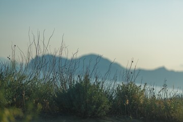 Beautiful mountains with sea in summer day