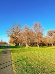autumn in the park