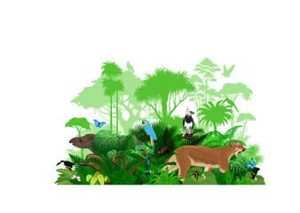 Vector South America tropical jungle rainforest illustration with animals.	