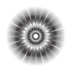 Perfect circular black radial lines. Blast attack in all directions. Design that imitates fireworks. Vector illustration isolated on transparent background
