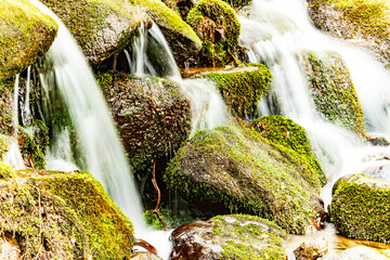 Waterfall cascading over the rocks in the Great Smoky Mountains NP