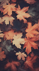 Fototapeta premium Autumn Leaves Background Vintage Retro Style