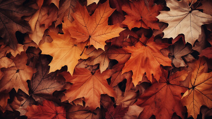 Naklejka na ściany i meble Autumn Leaves Background Vintage Retro Style