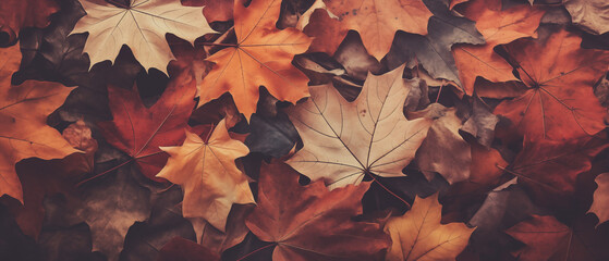 Autumn Leaves Background Vintage Retro Style