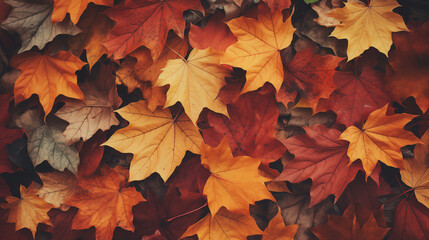 Naklejka na ściany i meble Autumn Leaves Background Vintage Retro Style