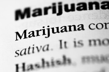 Marijuana, addictive and illegal substance or drug printed in black on white page of book close-up from cannabis plant