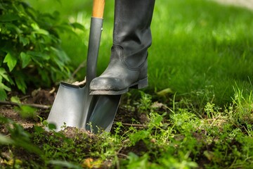 Farmer working in garden digging soil. Farming garden work.