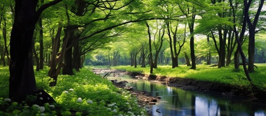 Fototapeta na wymiar In the vibrant green forest a picturesque landscape unfolds with colorful spring flowers luscious grass and magnificent trees creating a captivating natural beauty As the summer sun shines 