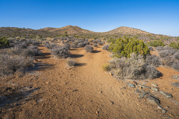 hiking the lost horse mine loop trail in joshua tree national park, california, usa