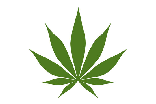 illustration of green cannabis leaf on a white background © PH German Alvarez